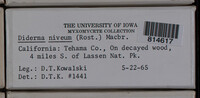 Image Associated With the Occurence